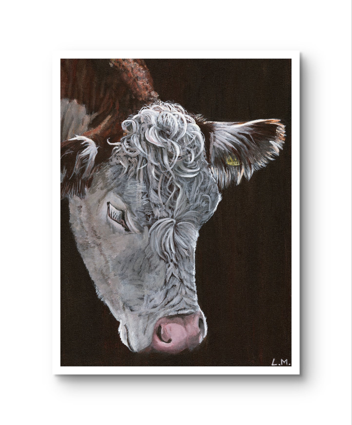 Wiltshire Hereford: A Bite Print