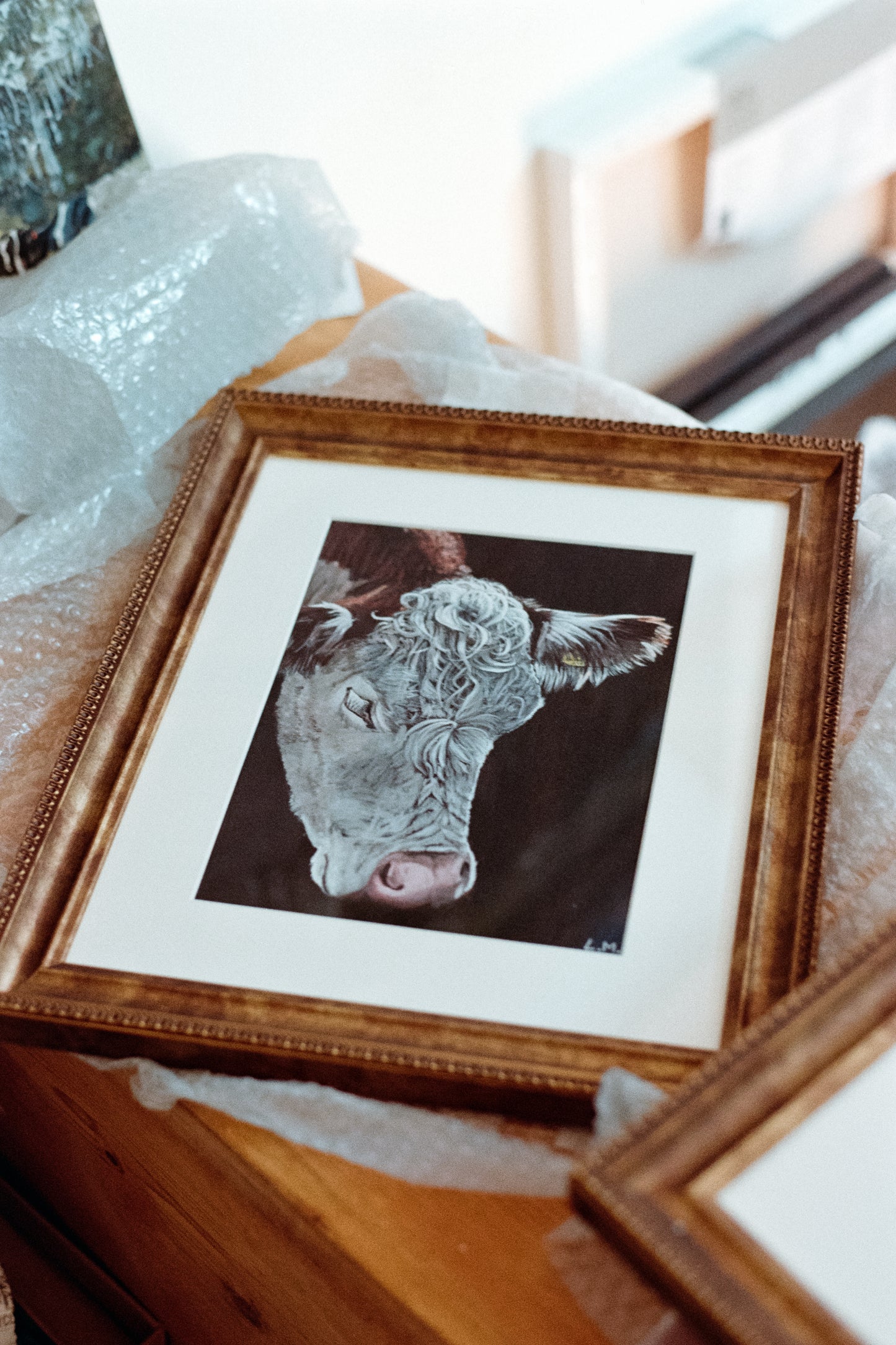 'Wiltshire Hereford: A Bite' Print
