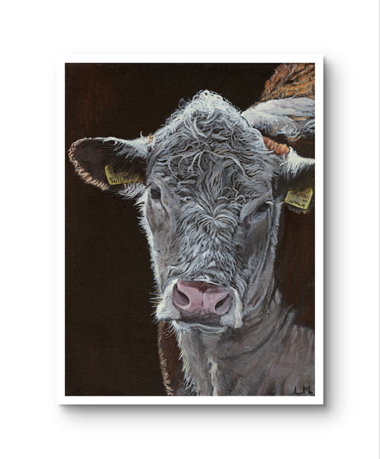 Wiltshire Hereford Print