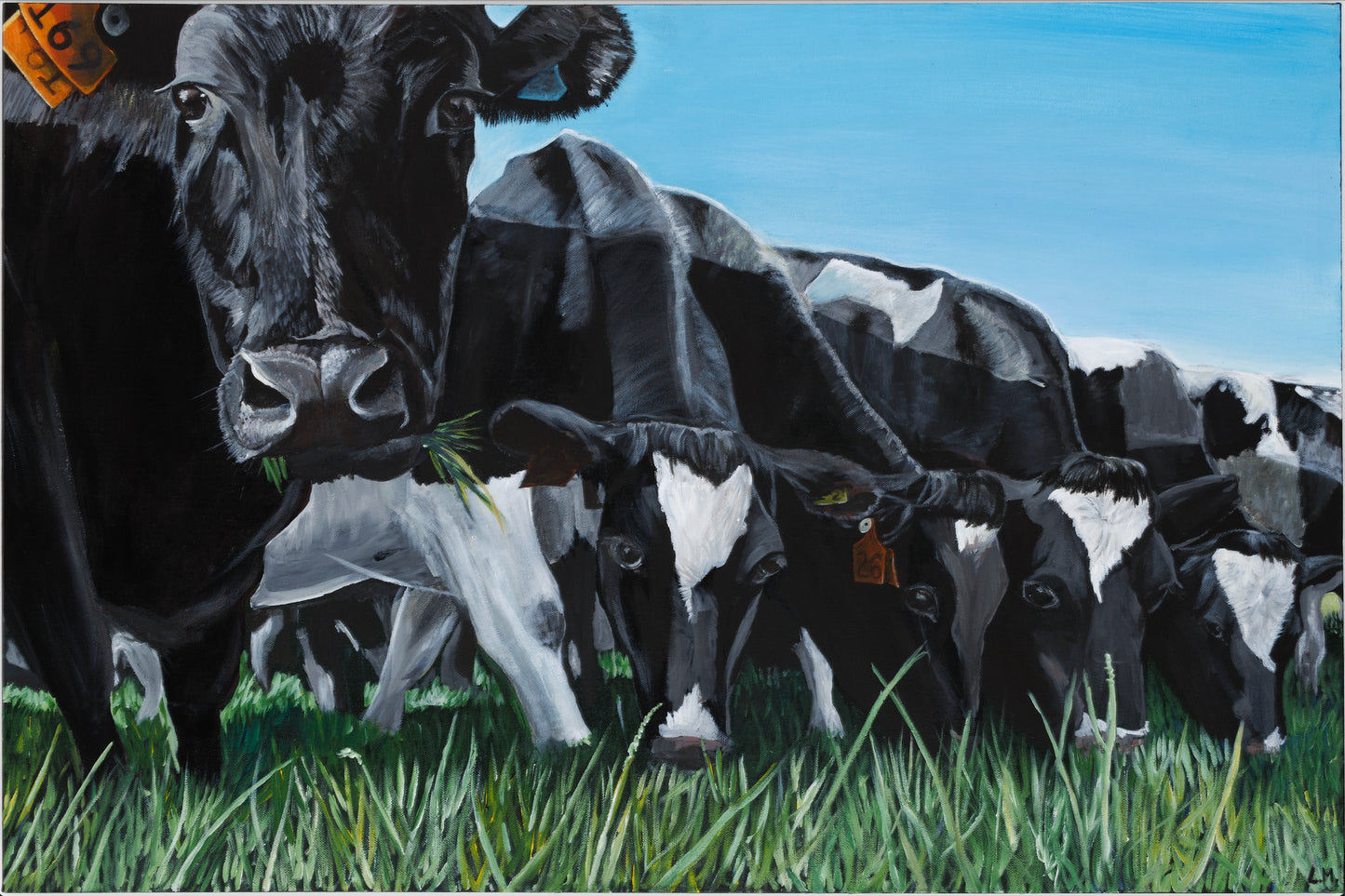 ‘Fresh Pastures’ Cow Greeting Card