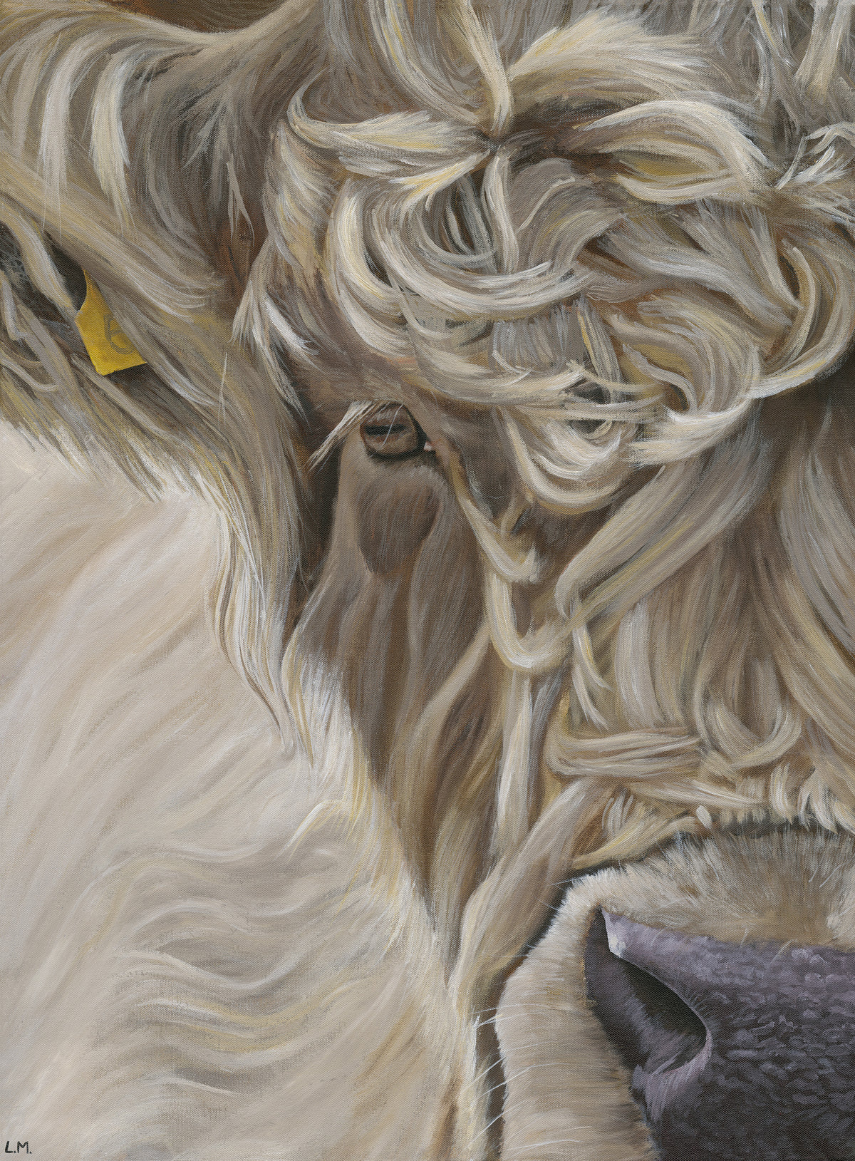 ‘Up Close with Grace' Limited Edition Print