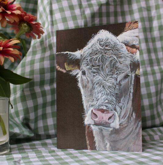 'Wiltshire Hereford' Greeting Card