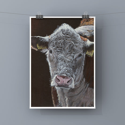 'Wiltshire Hereford' Print