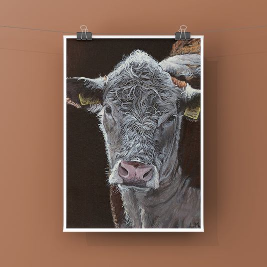 Wiltshire Hereford Print