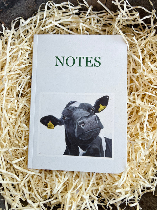 'Pardon?!' Light Green Pocket Notebook