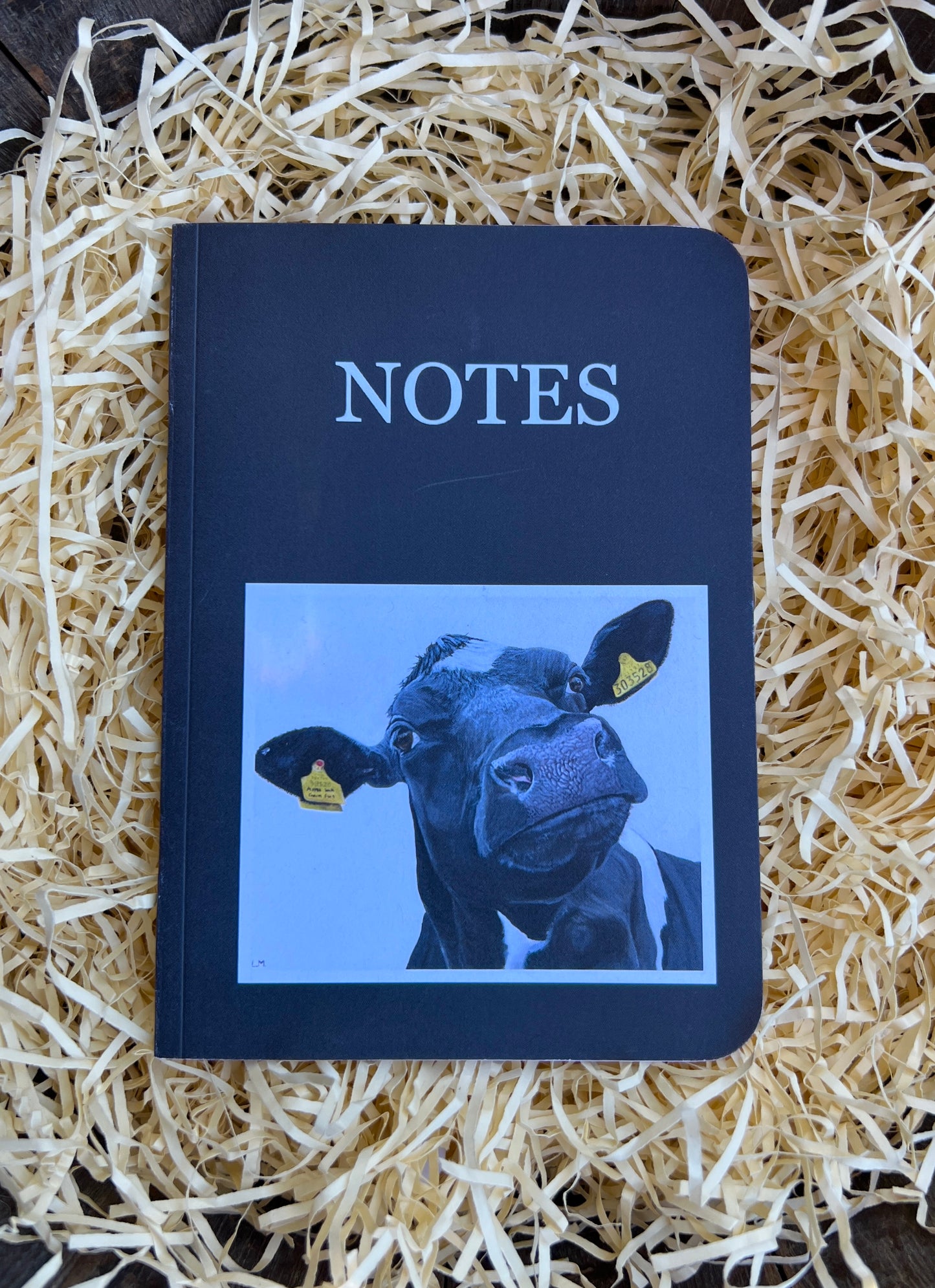 'Pardon?!' Black Pocket Notebook
