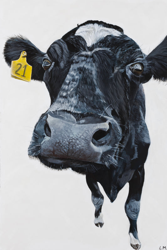 ‘Greetings’ Cow Greeting Card