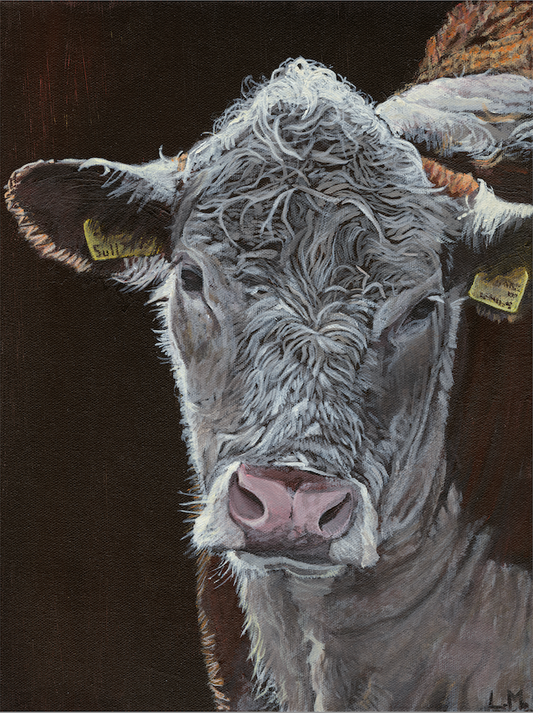 'Wiltshire Hereford' Greeting Card
